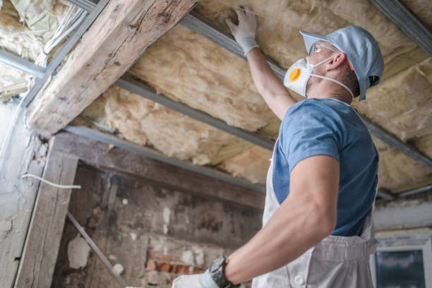 Best Residential Insulation in Solon, IA