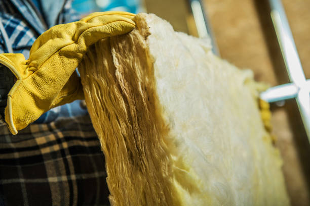 Best Specialized Insulation Services in Solon, IA
