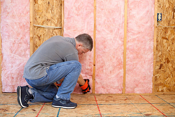 Best Geographic-Specific Insulation Services in Solon, IA