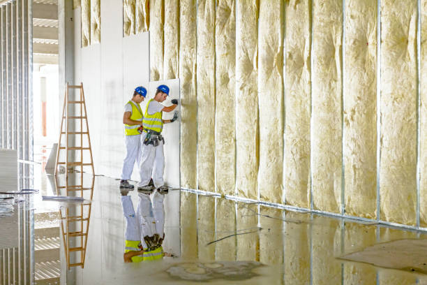 Best Cellulose Insulation in Solon, IA